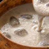 kindirmo(youghurt)