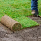 Sod grass per square meter